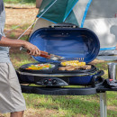 Coleman Roadtrip LX Propane Grill 5