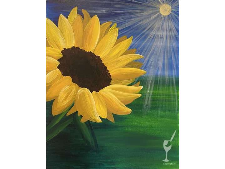Sunflower in the Sunshine - Pearland