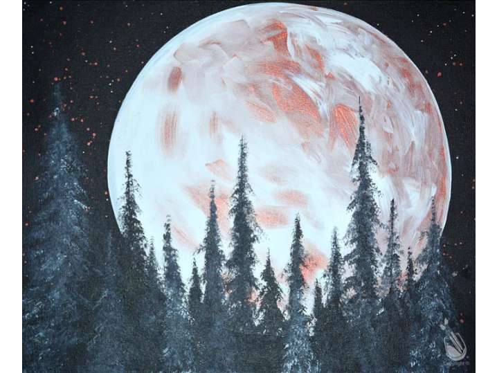 Enchanting Moonlit Forest - Baytown