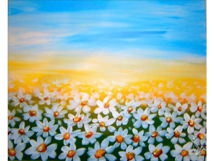 Daisies Beneath a Blue Sky