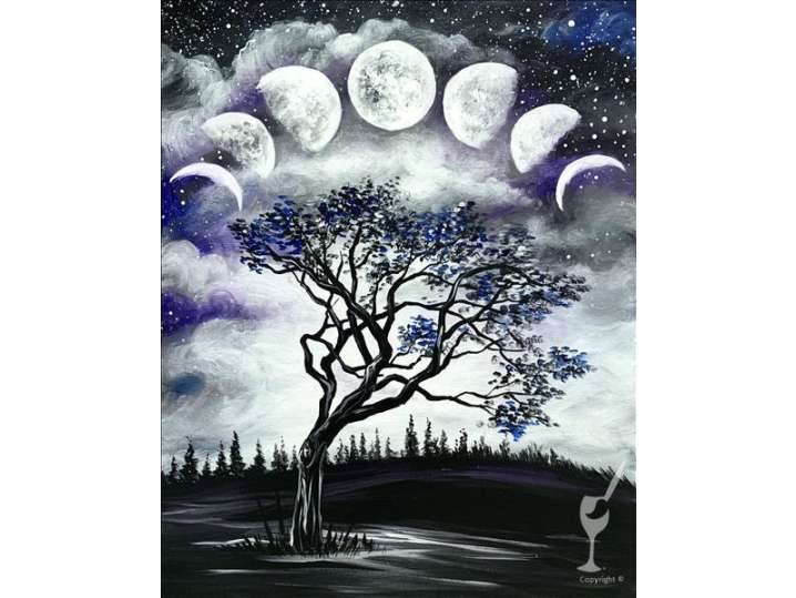 The Phases of the Moon in the Night Sky