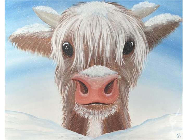 Curious, Coy & Captivating Highland Calf