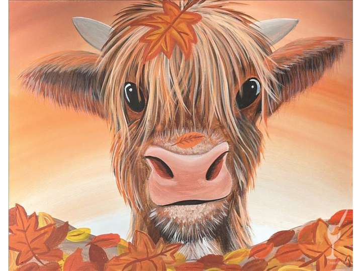 Fall's Highland Calf