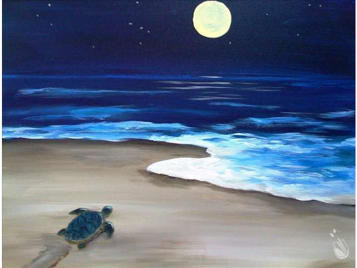 Turtle on a Moonlit Beach - Pearland