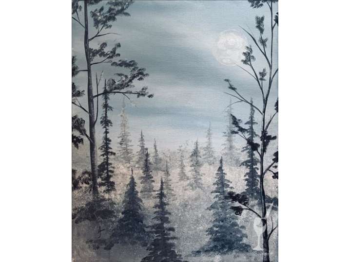 Snow and Fog in the Forest