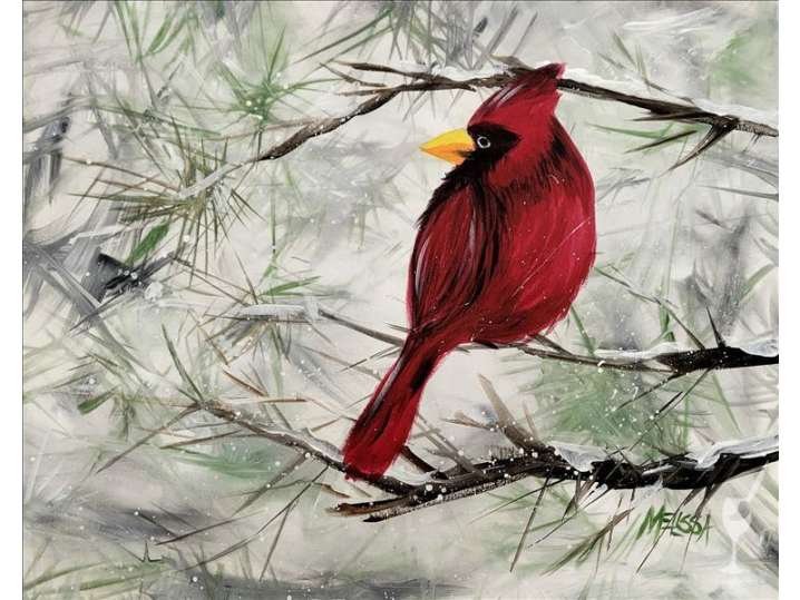 A Winter Cardinal
