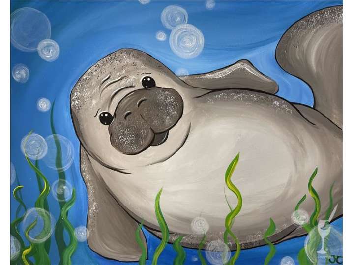 Bubbly Manatee - Pasadena
