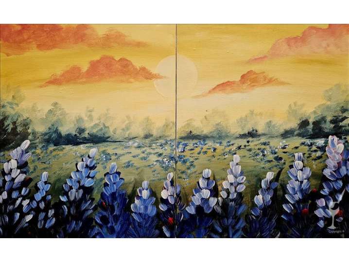 Bluebonnet Field