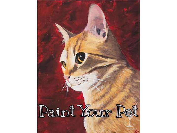 Adorable and Cute Pet Portrait