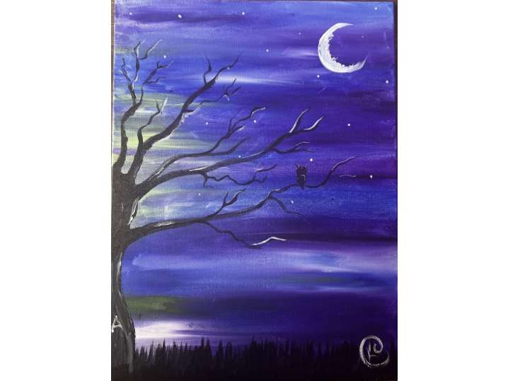 Curious Night Owl