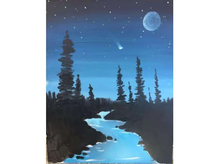 Shooting Star in the Forest