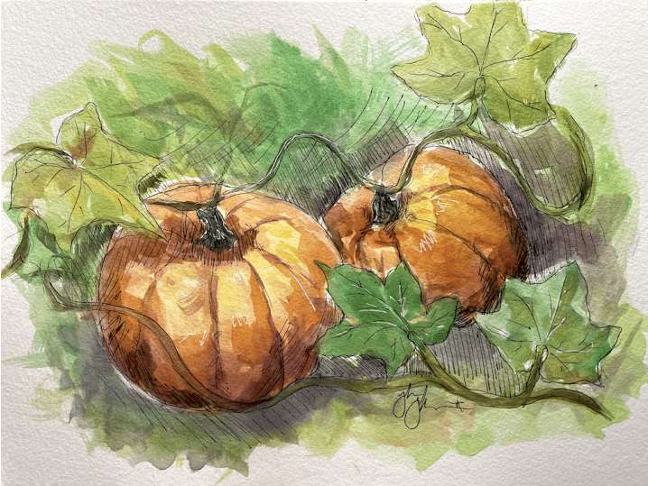 Plump Watercolor Pumpkins