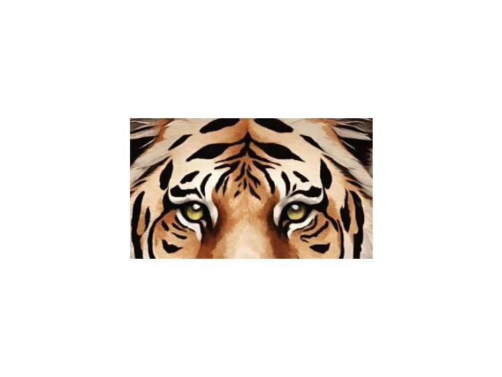 Eye of the Tiger