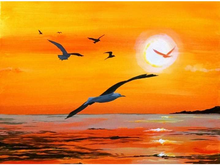 Gull-den Sunset - Norman