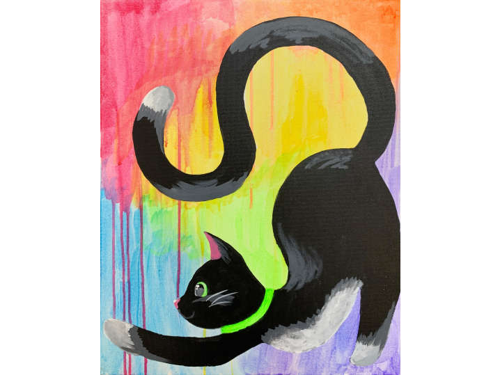 Rainbow Whiskers - Phoenix