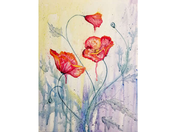 Watercolor Poppies  - Norfolk