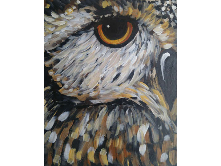 Hooty Patooty - Elk Grove