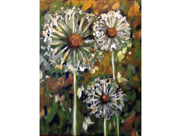 Blowing Wishes - Chicago