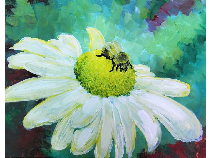 Bee-utiful Daisy - Cincinnati