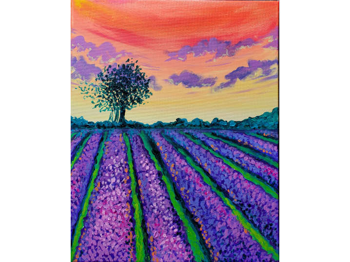 Lavender Field at Sunset - Houston