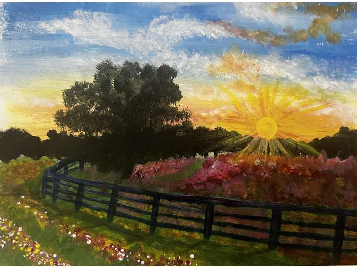 Best Texas Sunset - Houston