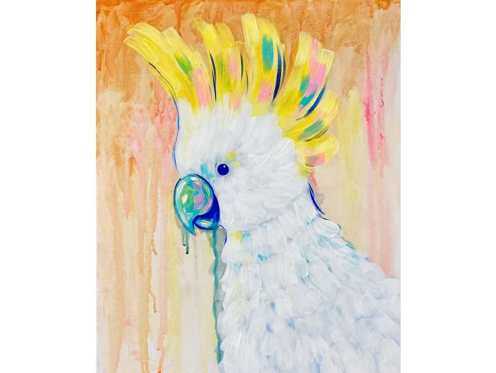 Colorful Cockatoo - Norman