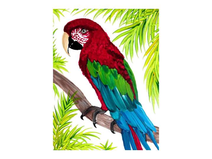 Paradise Island Parrot