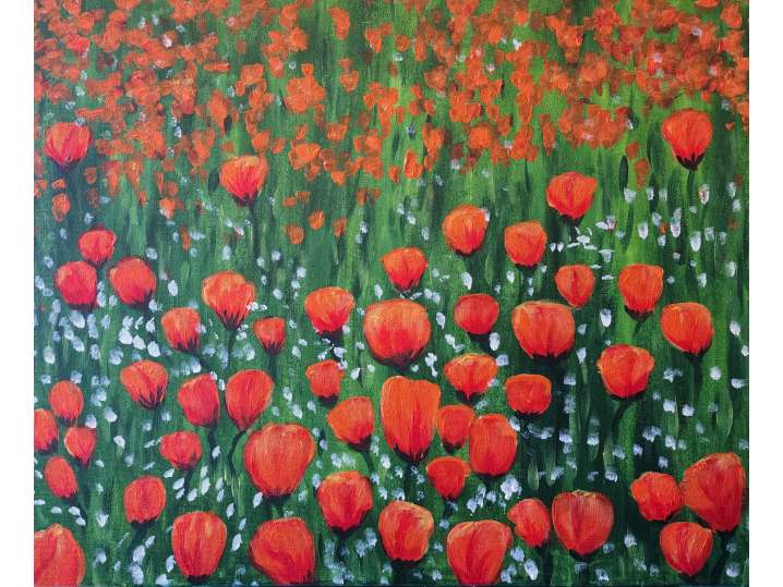 Pop of Color in the Poppy Meadow