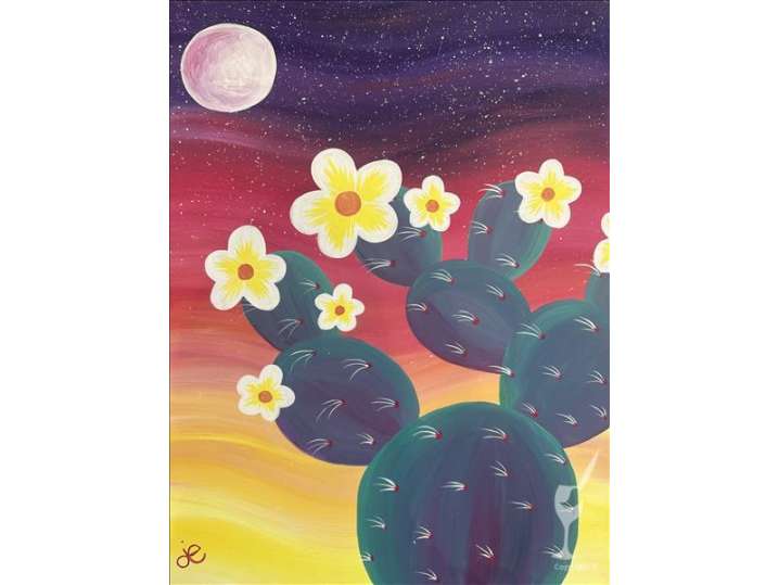 Midnight Blooming Cacti