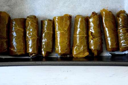 stuffed grape leaves