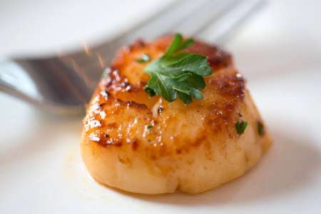 pan seared diver scallops