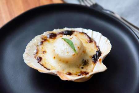 Coquille Saint-Jacques