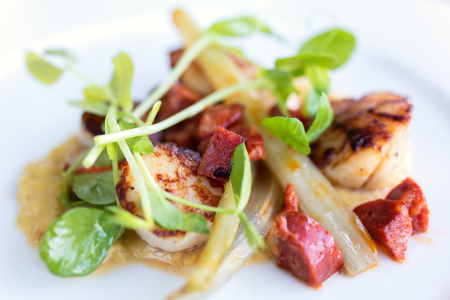 Stunning Surf and Turf Dinner