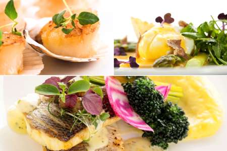 Elevated seafood fare