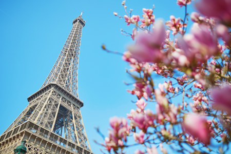 a view of the eiffel tower in france for a cooking class based on emily in paris