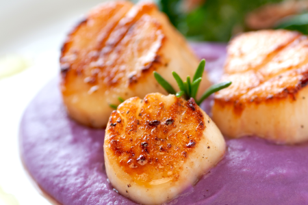 bay scallops over purple sweet potato puree