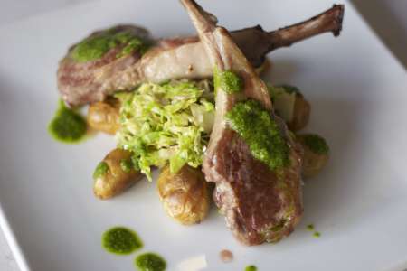 Healthy Organic Lamb