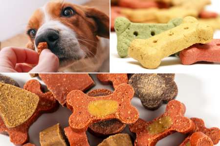 Homemade No-Bake Dog Treats