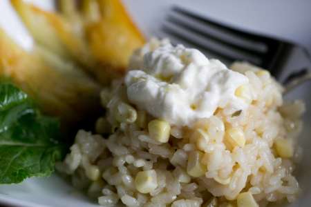 corn stock risotto