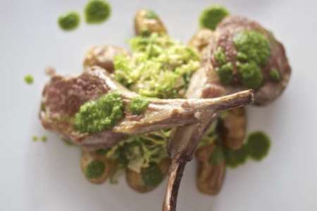 healthy organic lamb