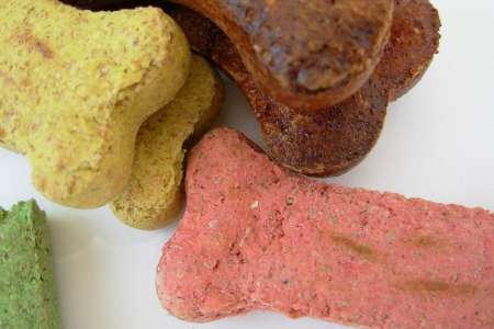 homemade dog treats