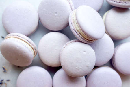 lavender macarons