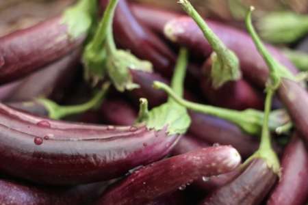 eggplant at farmers market