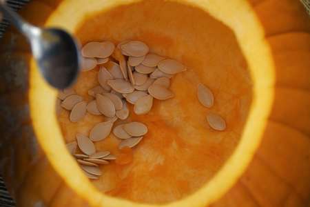 pumpkin carving with seeds