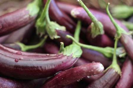 raw eggplant