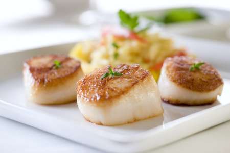 scallops with parsnip puree