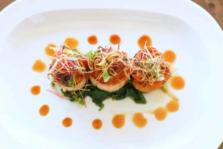 Modern Fusion Feast