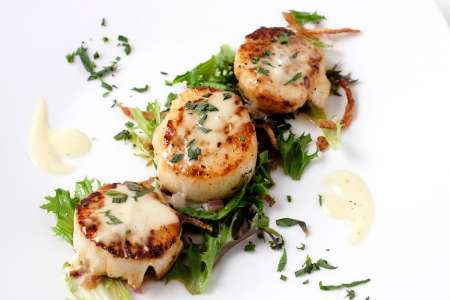 seared scallops