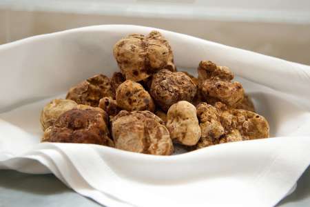 white truffles