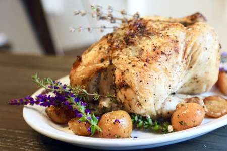 The Best of New American Cuisine